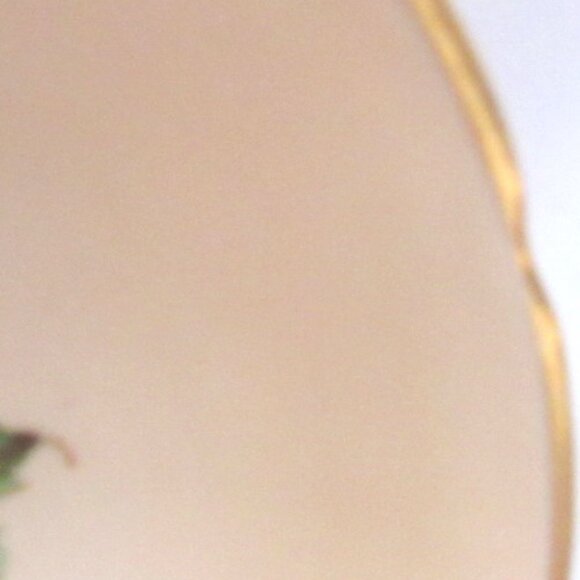 Regency Tea Cup and Saucer, Soft Beige Fabulous Fruit, Hand Painted, Gold,  I240 - Picture 6 of 8